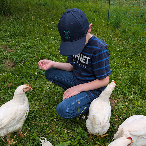 Tiergestützte Intervention